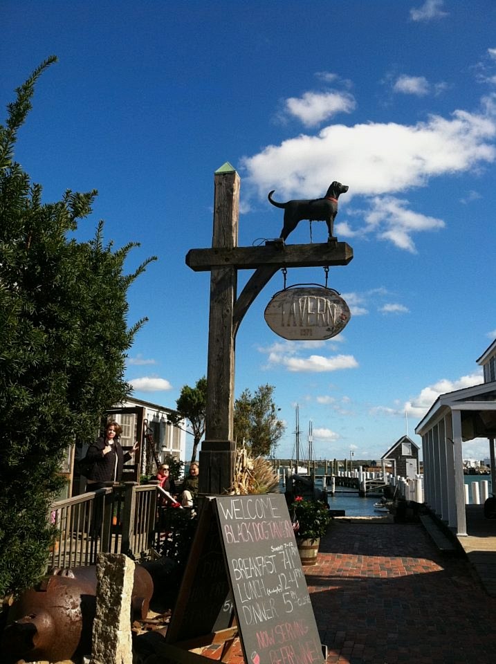 Black Dog Sign