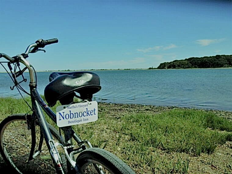 Nobnocket Bicycle From The Rear with pond behind